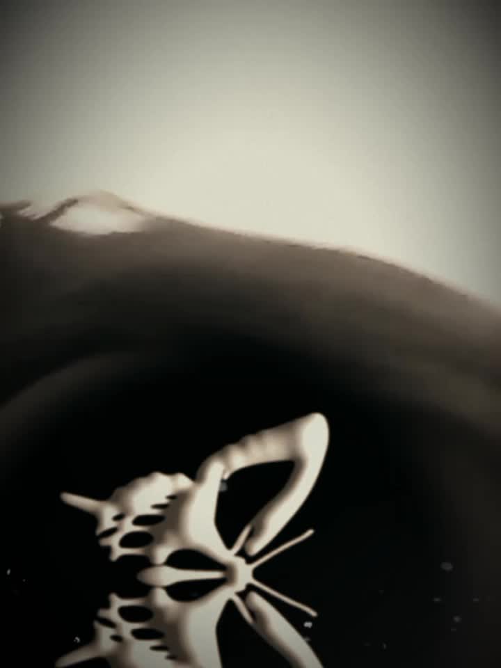 @kellypro08