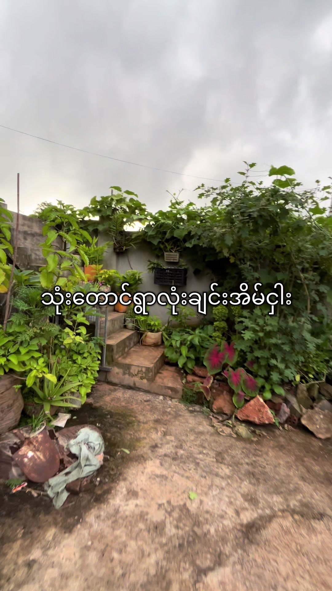 @Khaing Mar