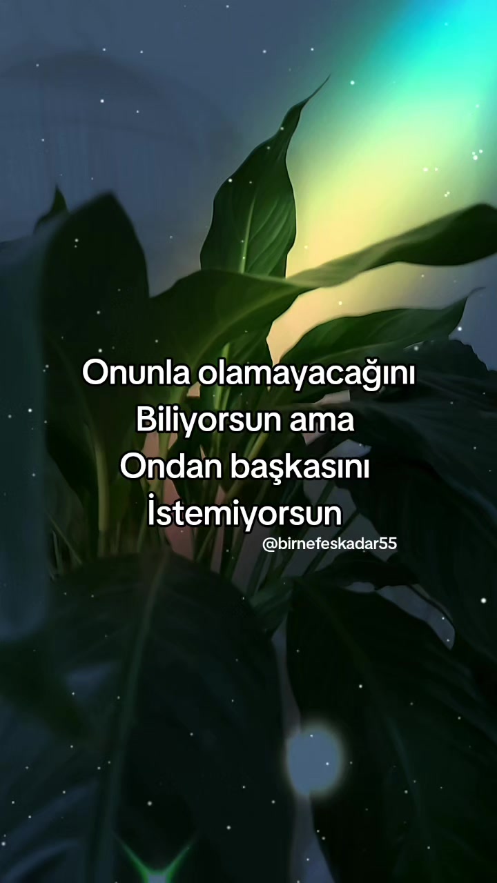 @birnefeskadar55
