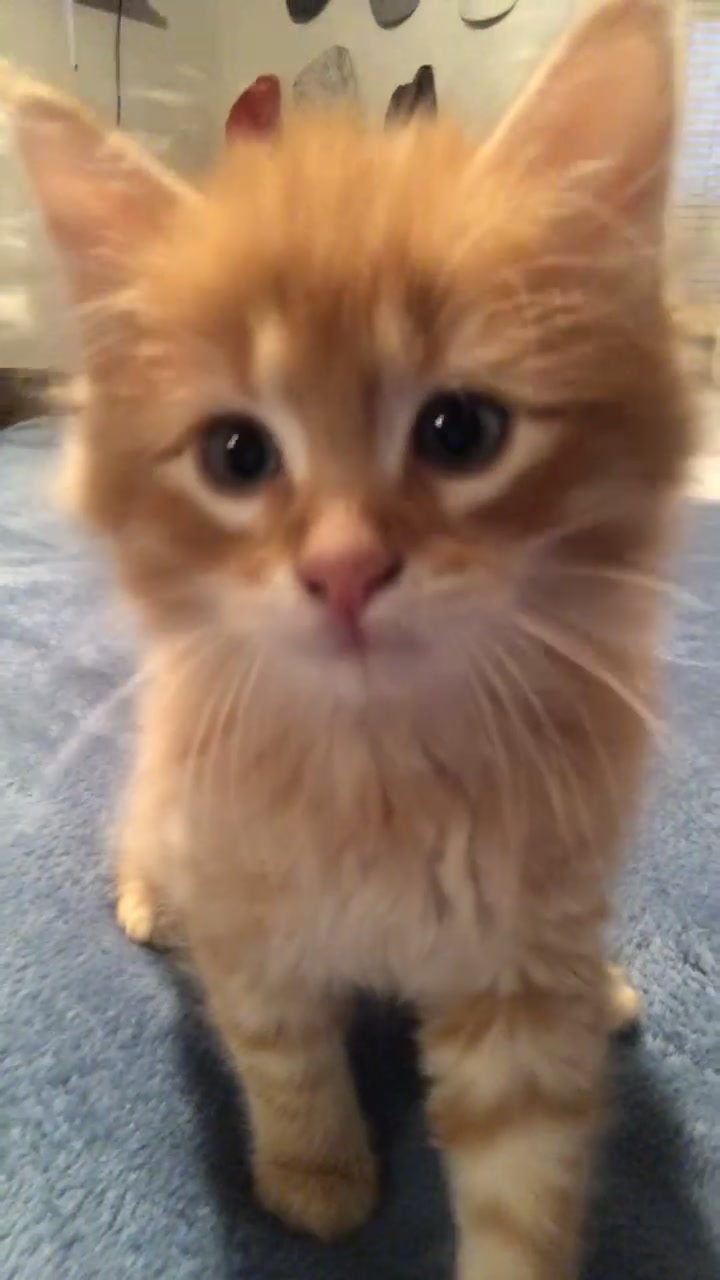 @LҽσMყʂƚιƈ
