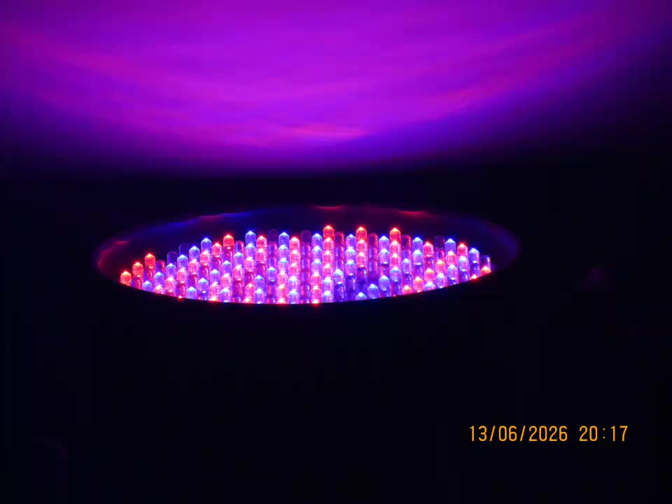 @Neevy Entertainment LTD