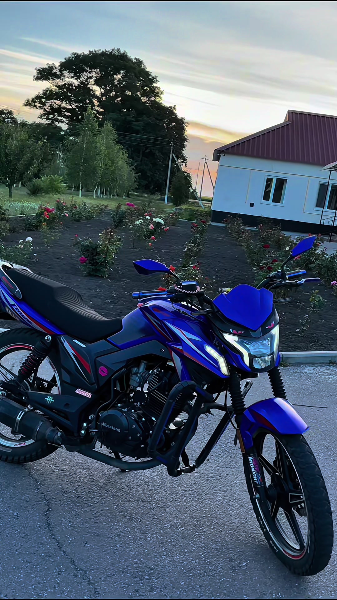 @Ухилянтік🥷🏻