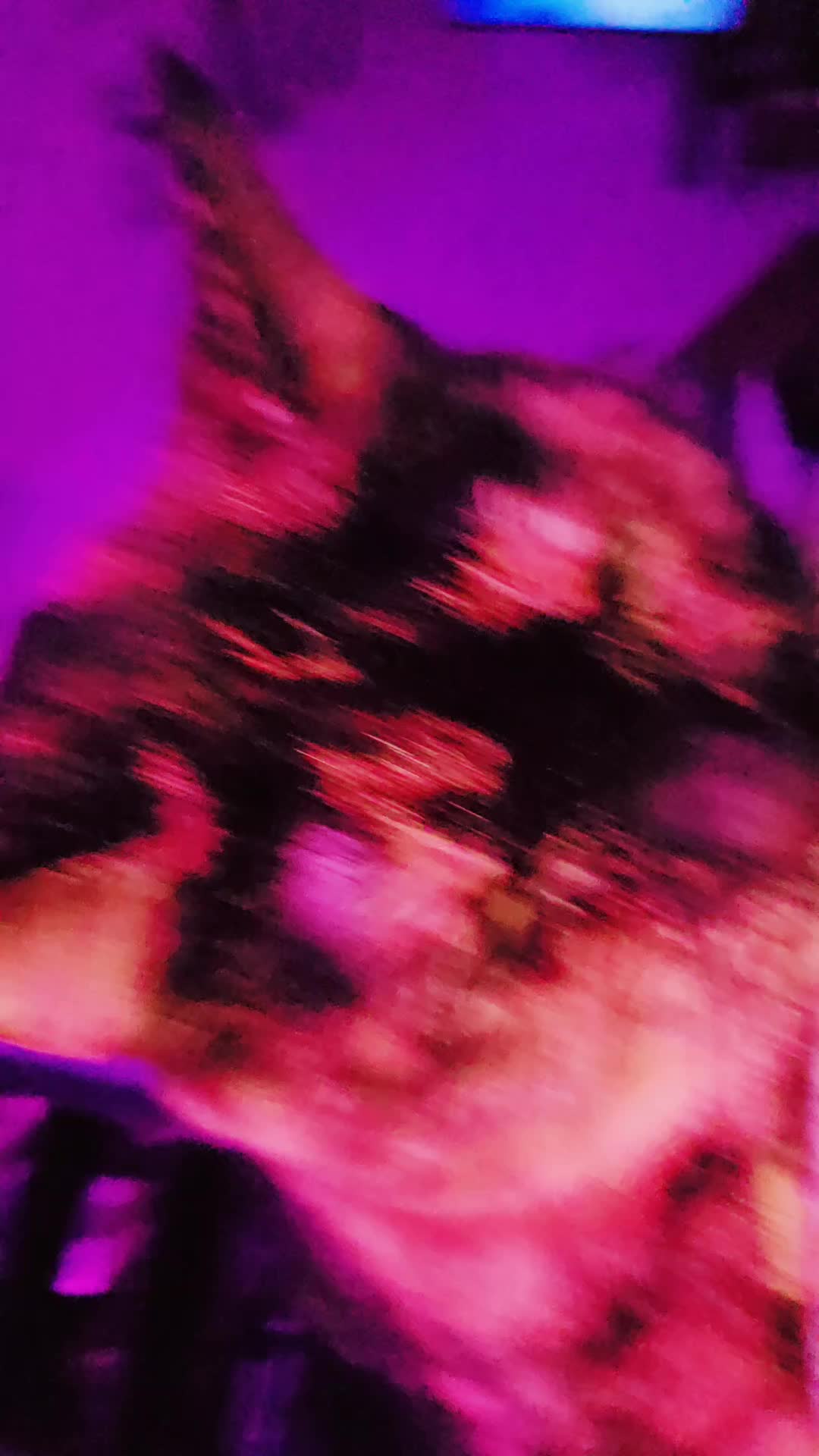 @🪴𖦹𝙻𝚞𝚗𝚊𝚛𖦹🦕