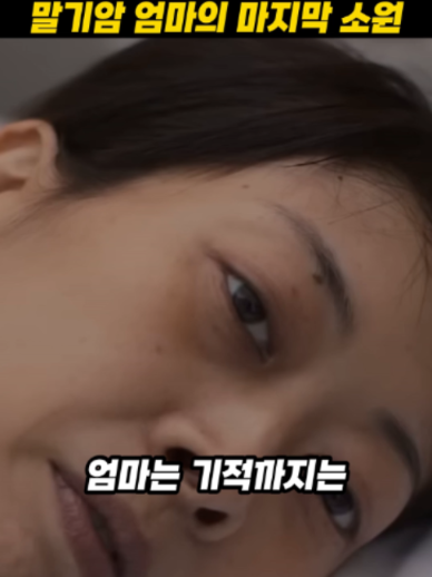 @하루한편