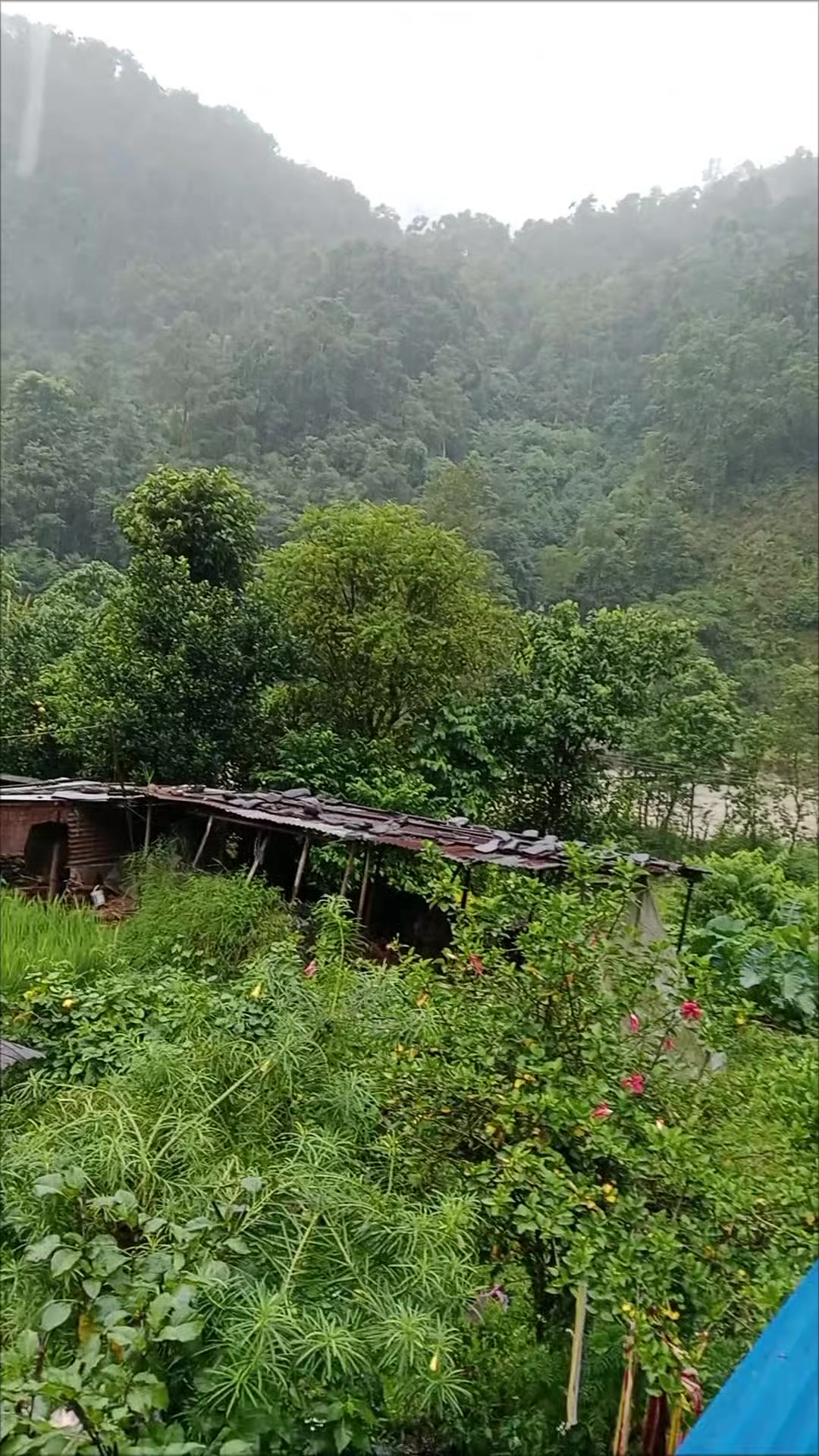 @Krishna Adhikari