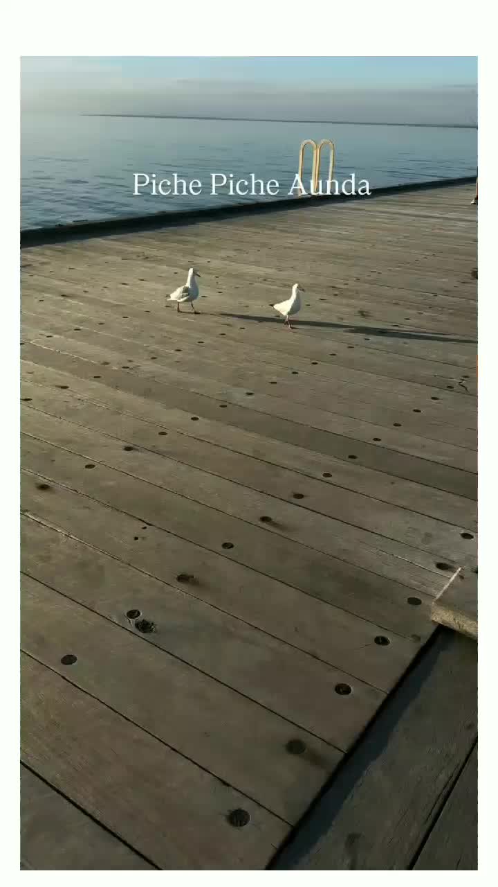 @😍Sawera Râjpööt👰