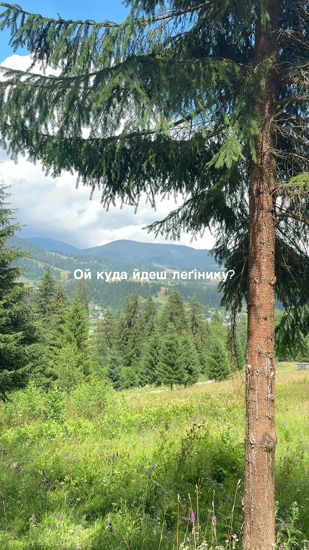 @Віолетта Шкрібляк