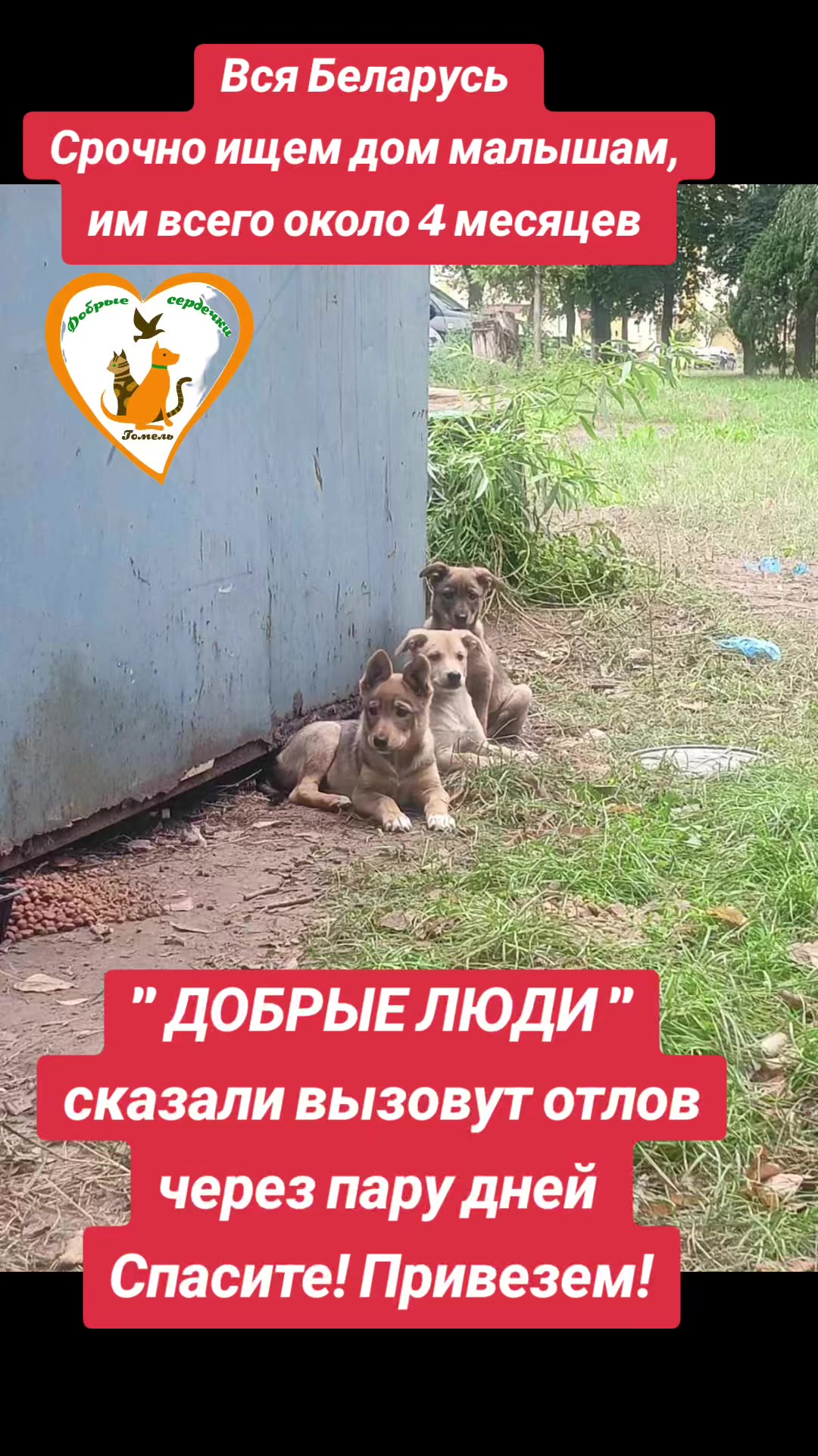 @Марина