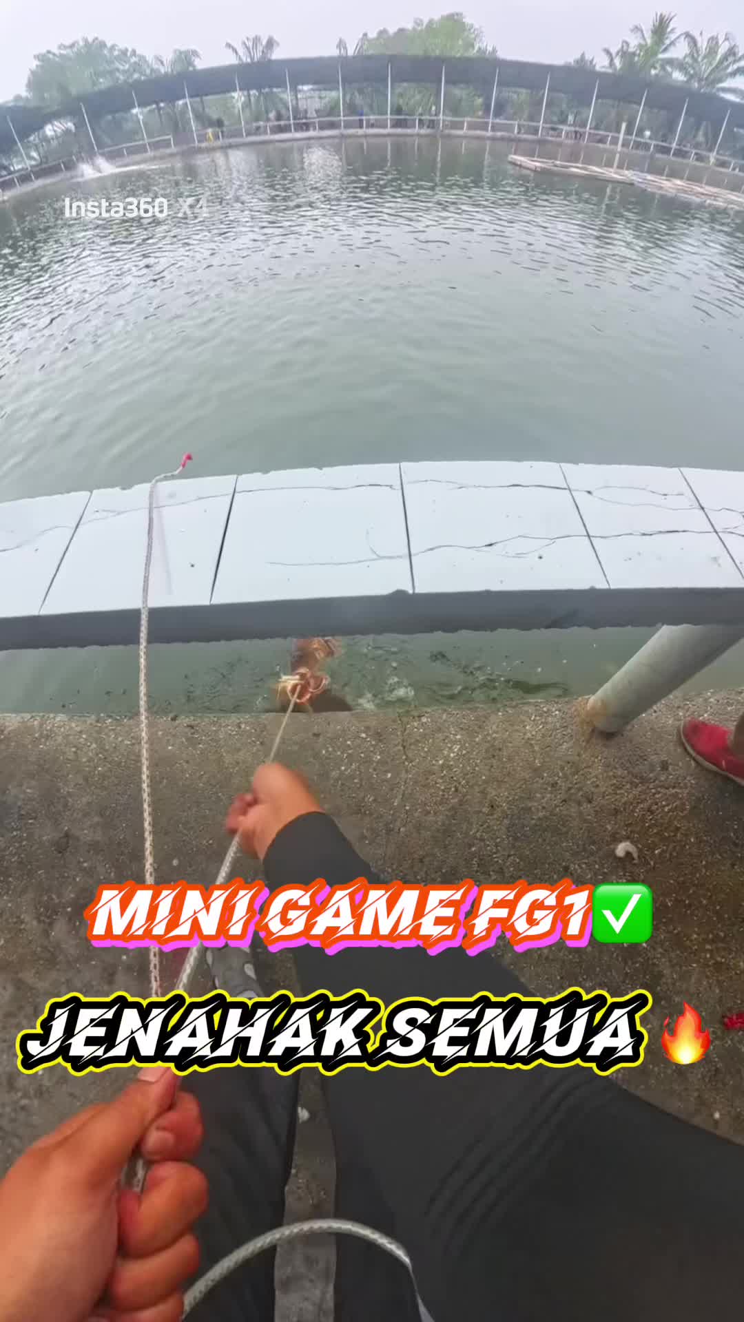 @M Z Reel 🎣