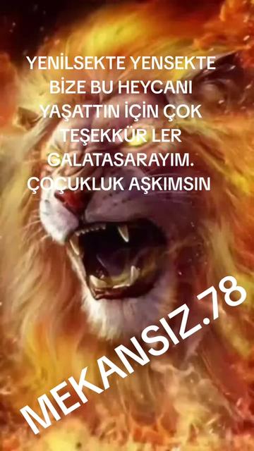 @MEKANSIZ.78