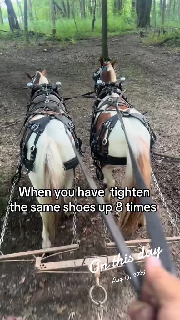 @cj
