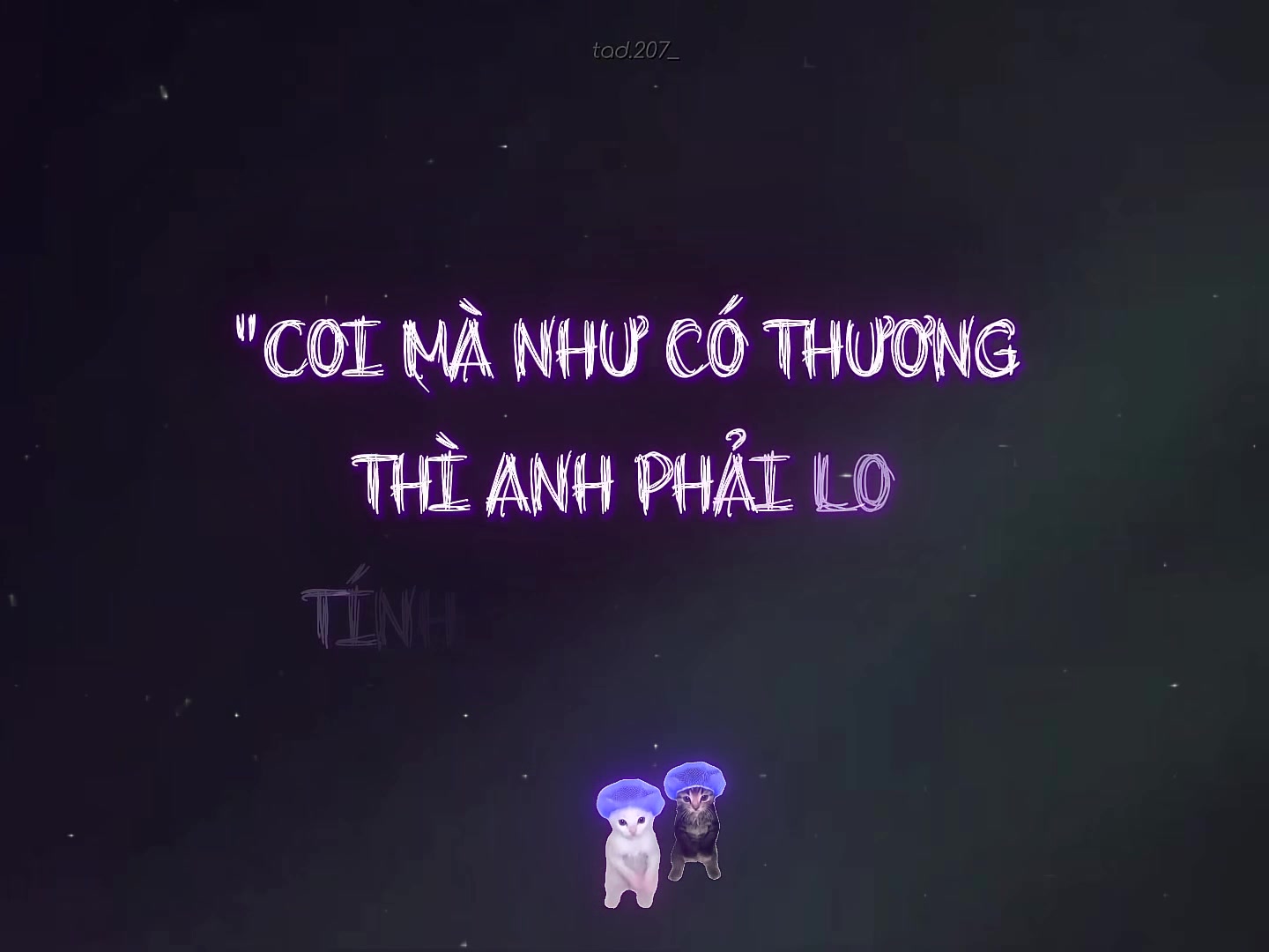 @tad.207_