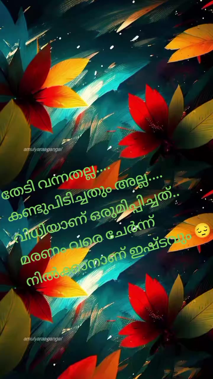 @അവനിക കല്ലുസ് 🌹💚✨