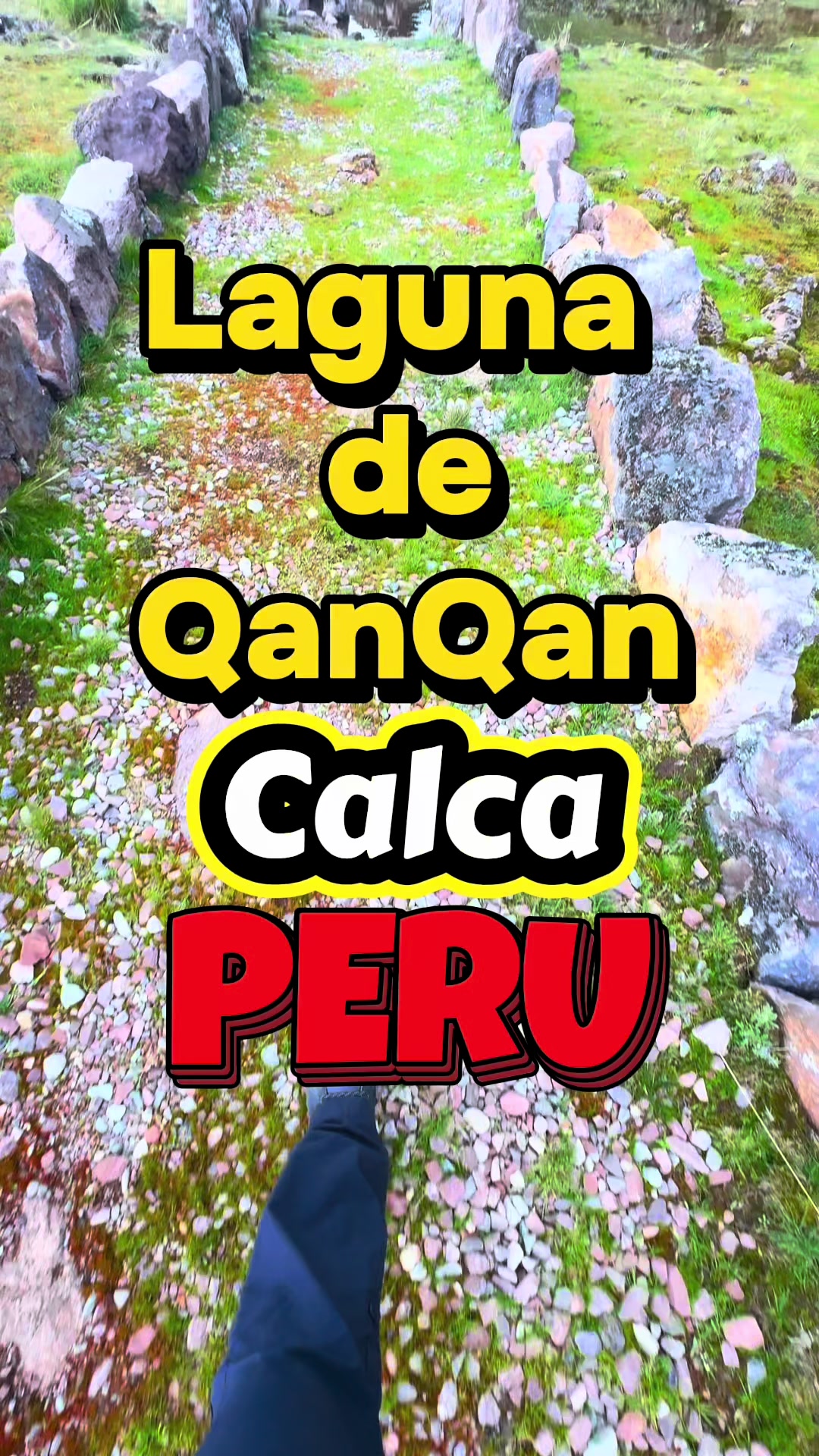 @Bluenomador