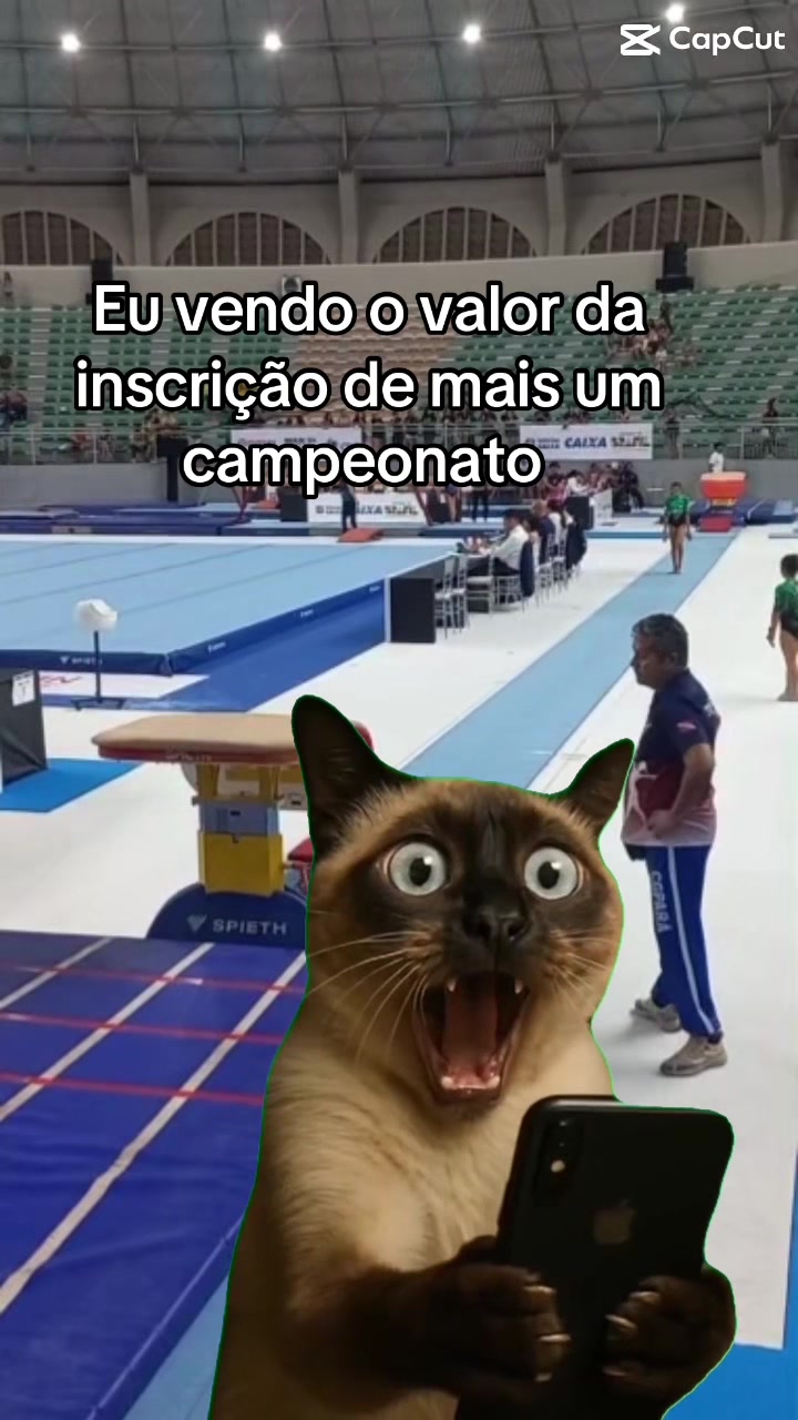 @Andr&eacute;ia Duarte