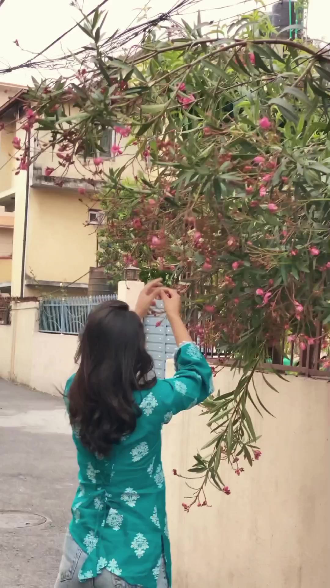 @🕊️