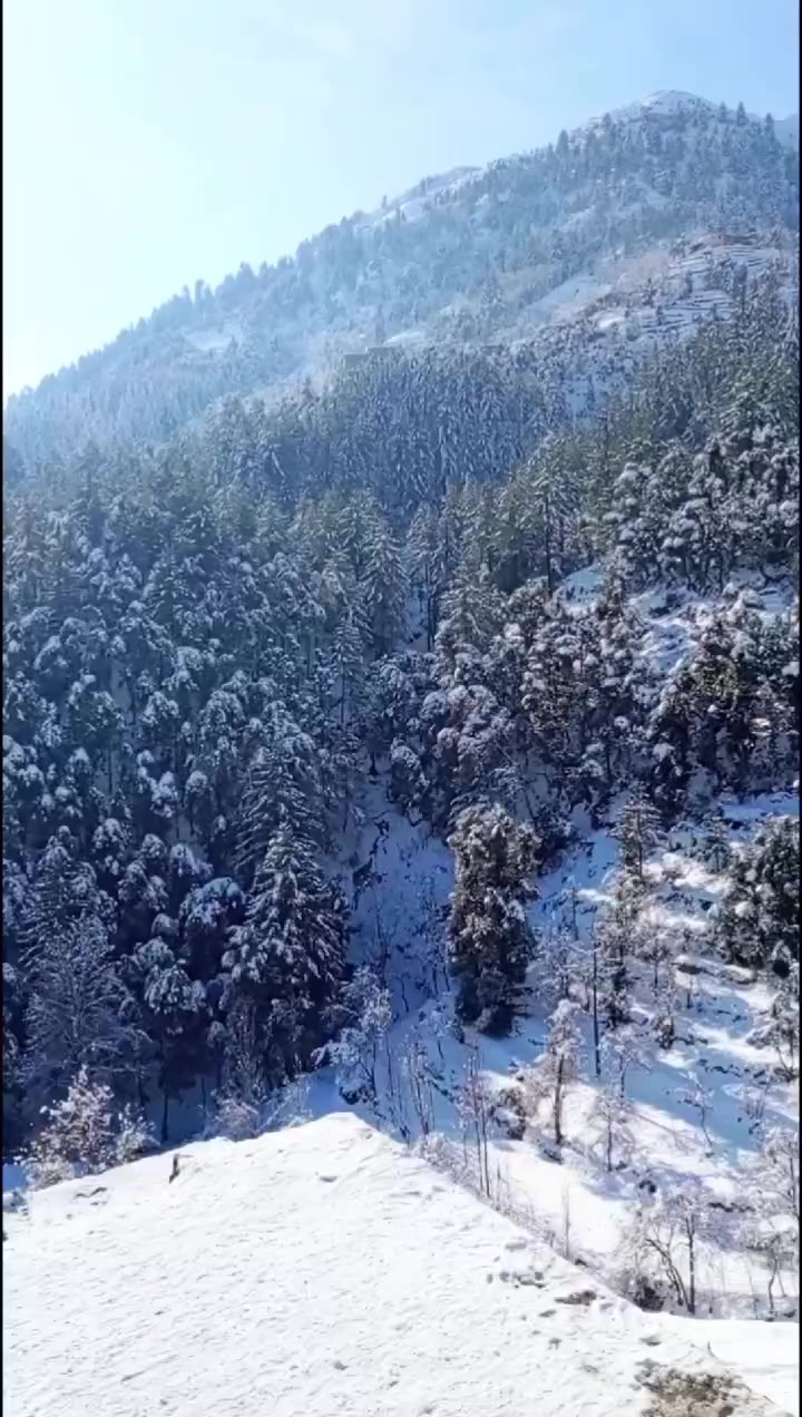 @🌲غر سنے 🌲