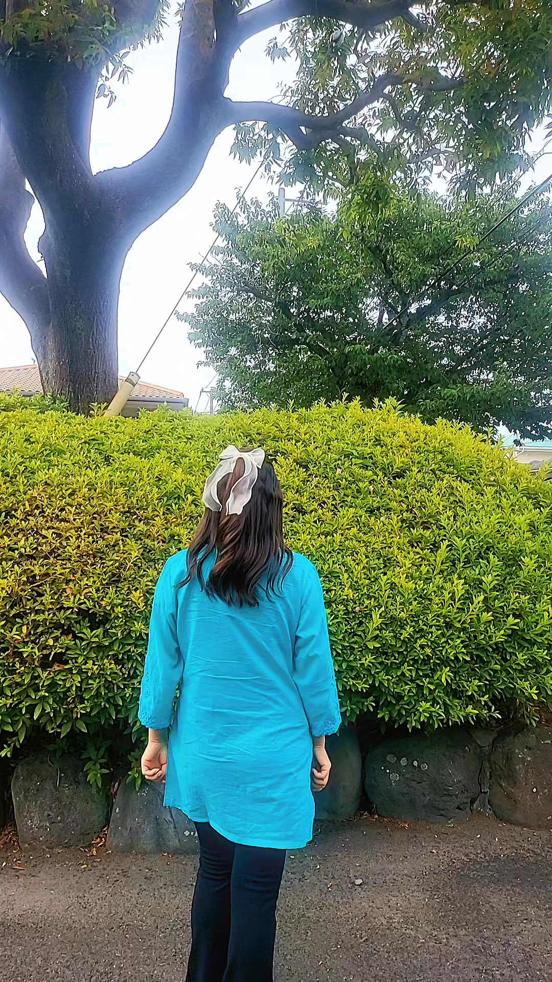 @DAALI