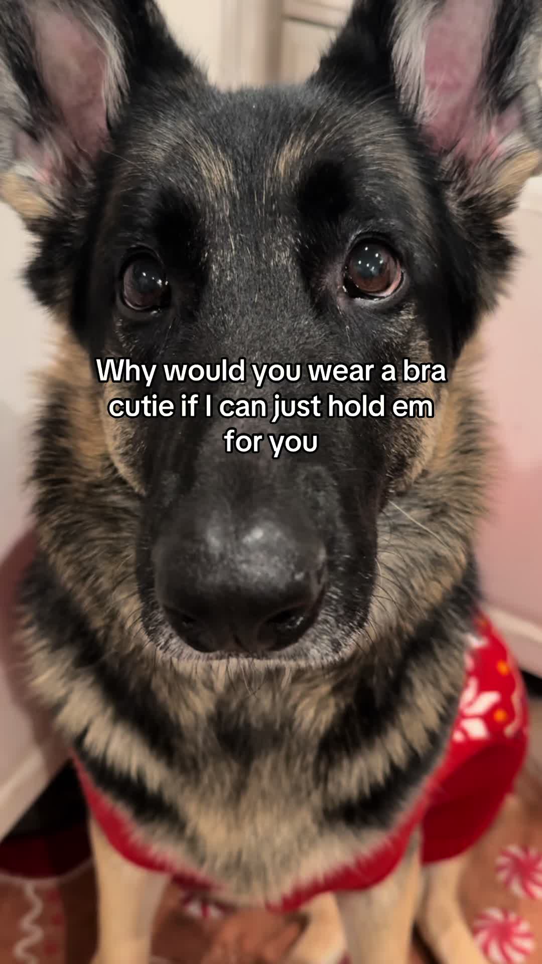 @Bhris