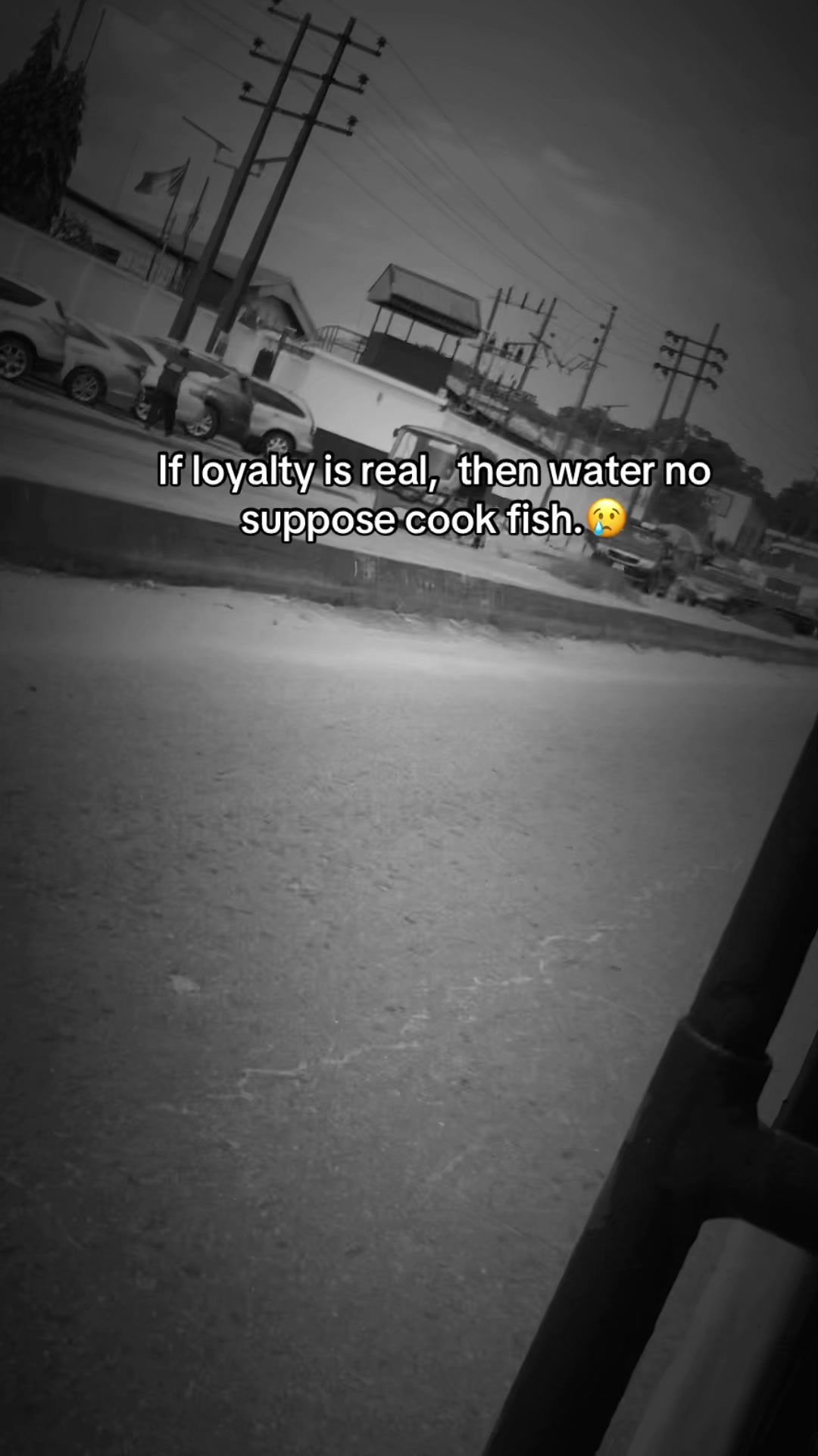 @M.I.M.I. 🕊
