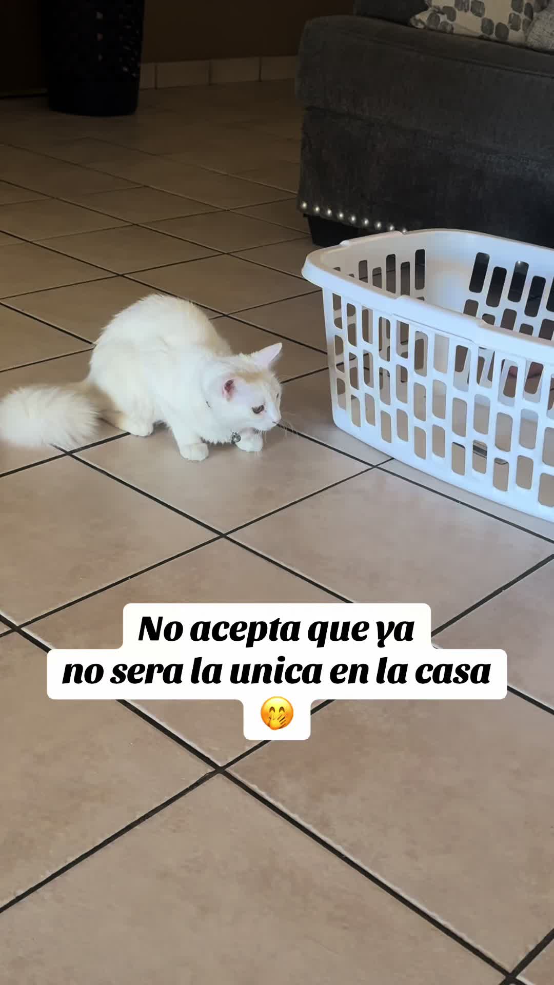 @Claudia