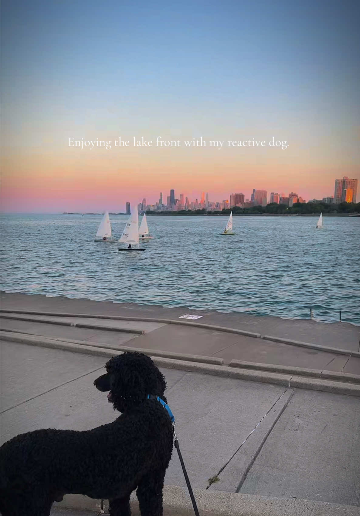 @packwalkdiaries