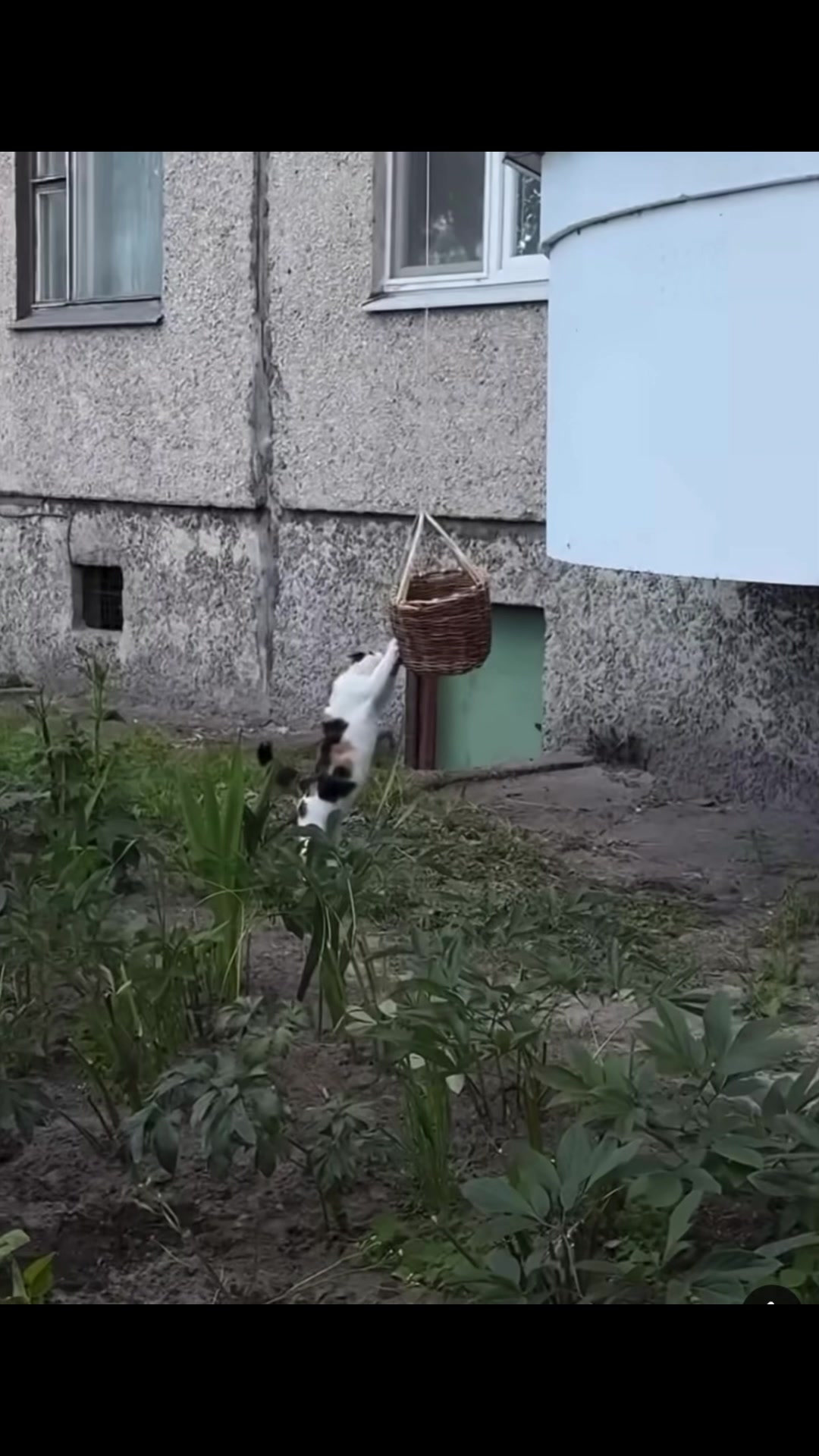 @керуй своїм життям