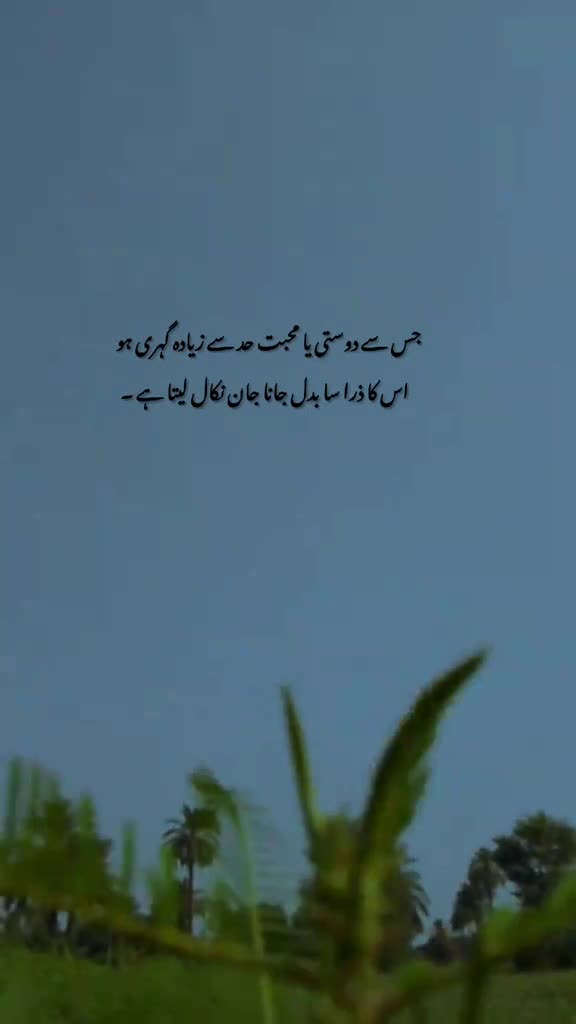 @Tayyab Khan
