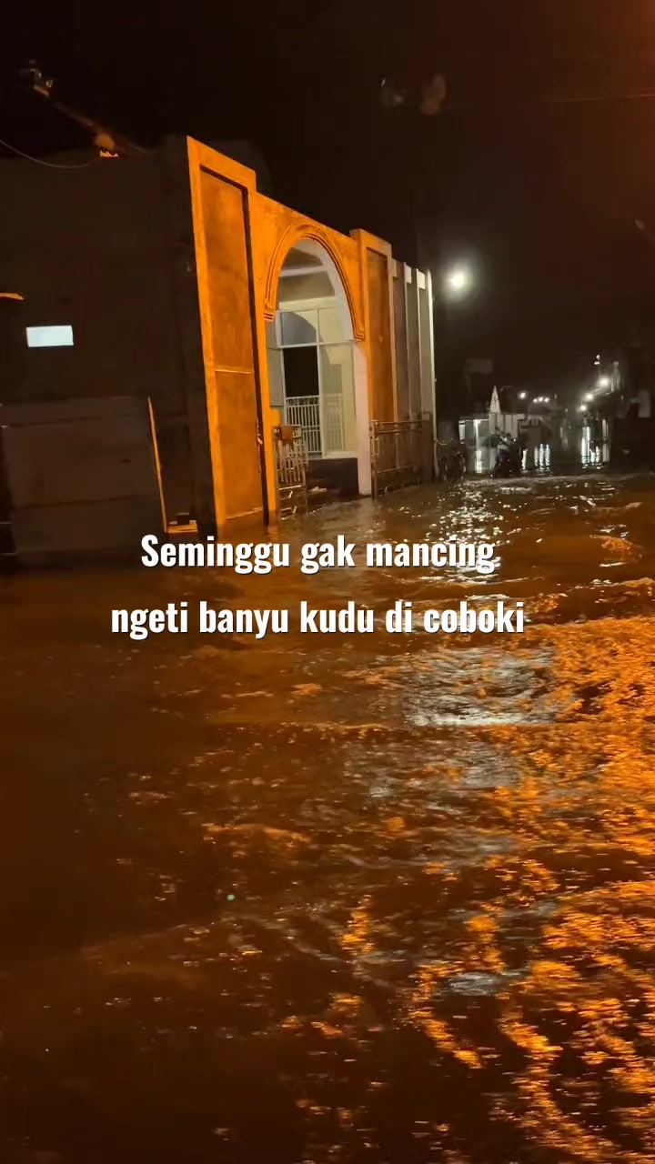 @MASIMI