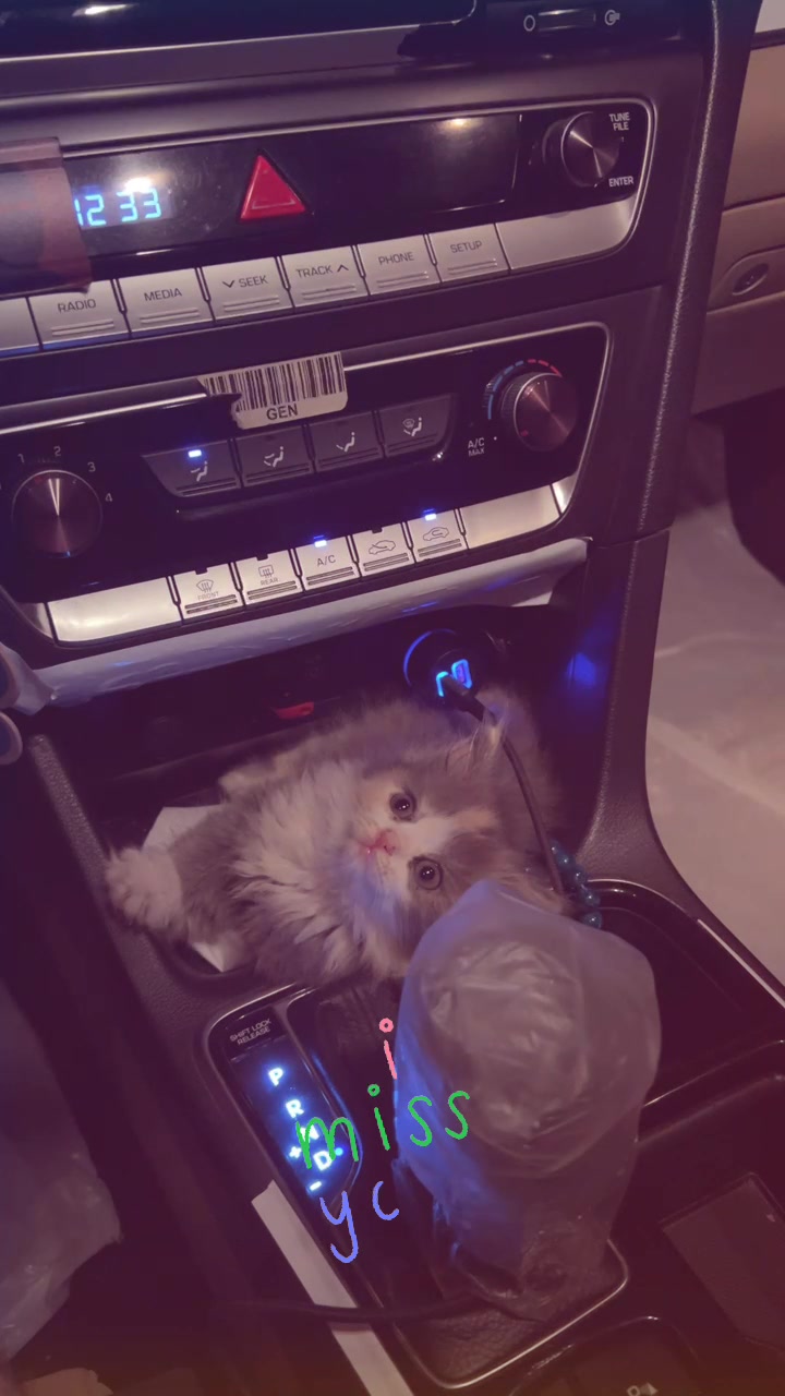 @GG🌪️