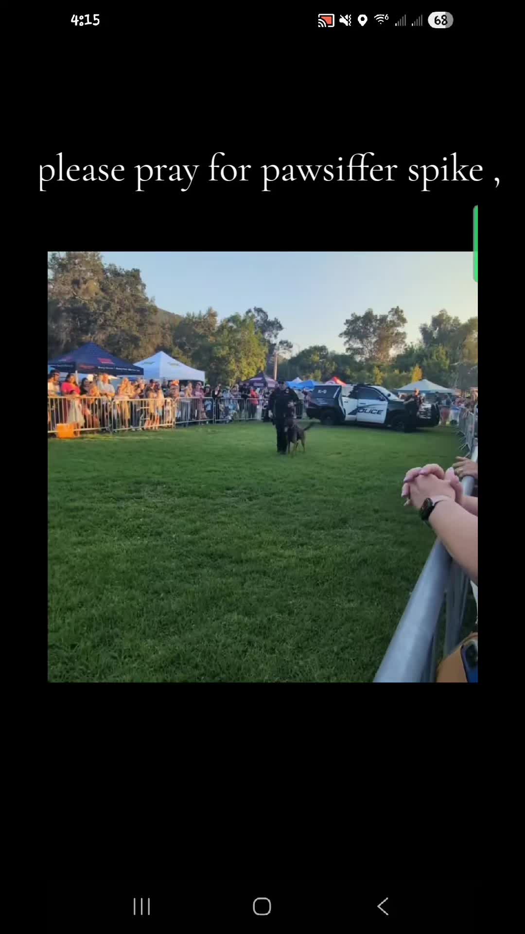 @BluePawsMatter