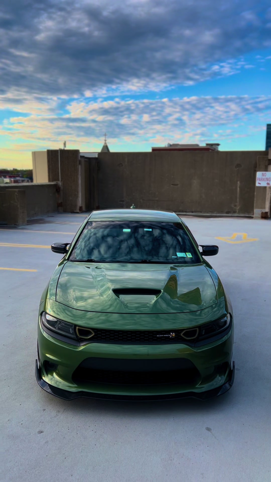 @392Predator