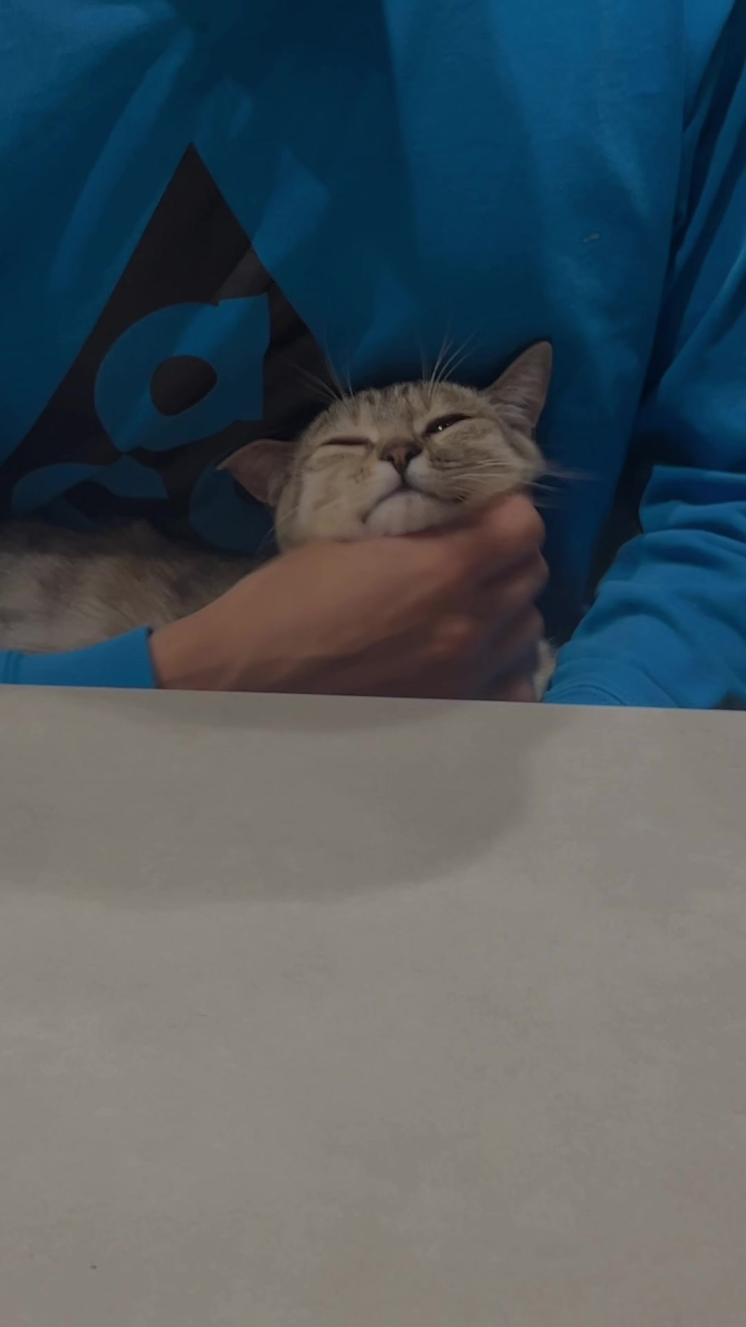@飼い主とネコたち
