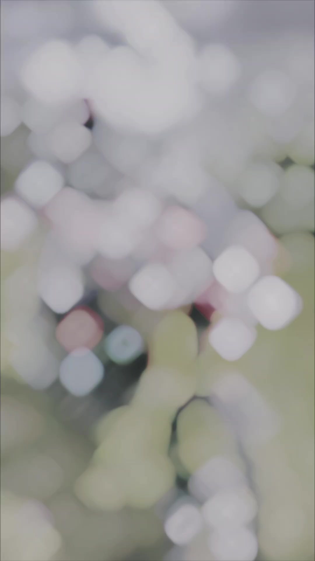@๐๐พ๐ท๐ฒ๐ธ๐ป_๐ _ ๐ค๐ฅ๐งธ