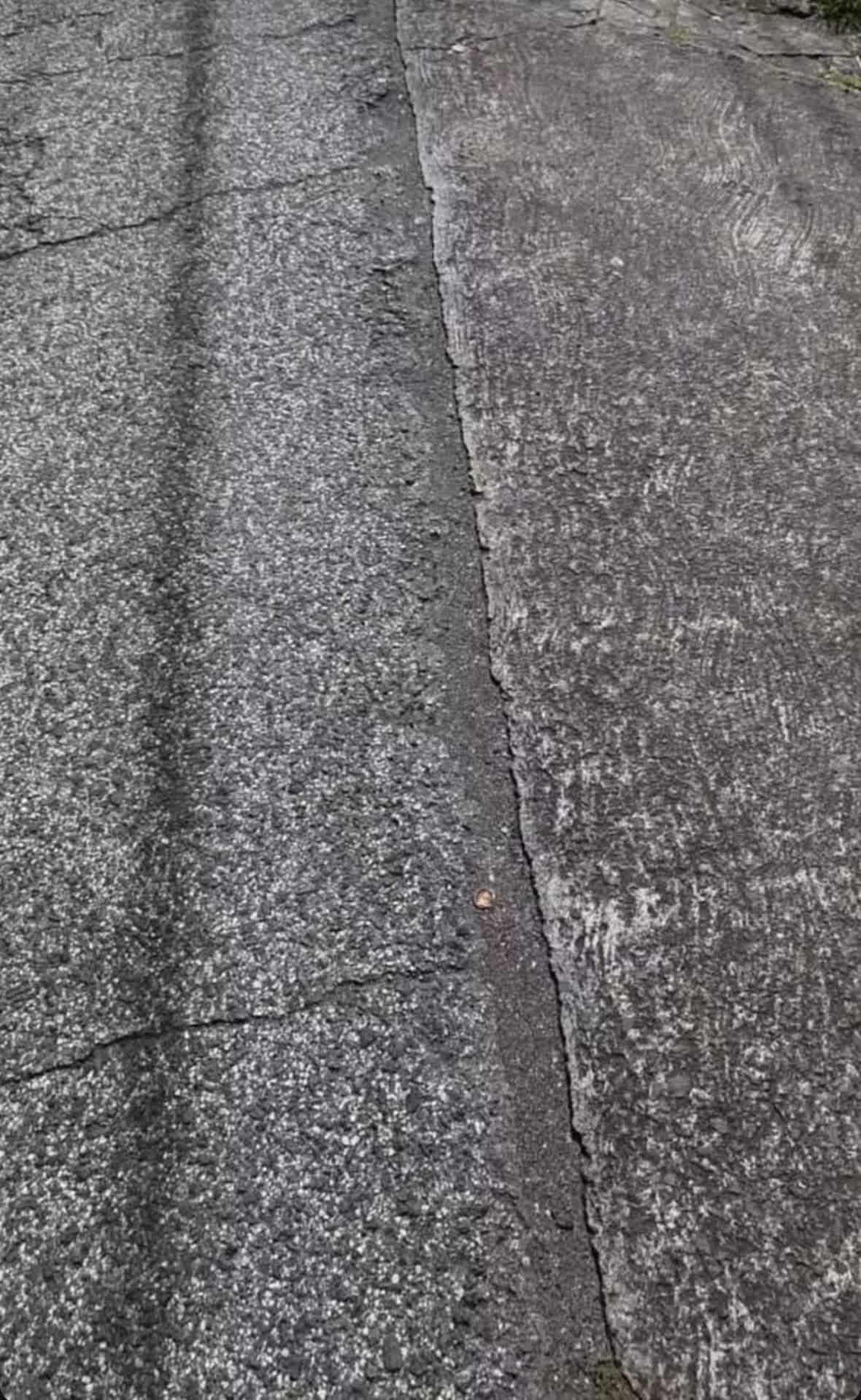 @vincycarculture_