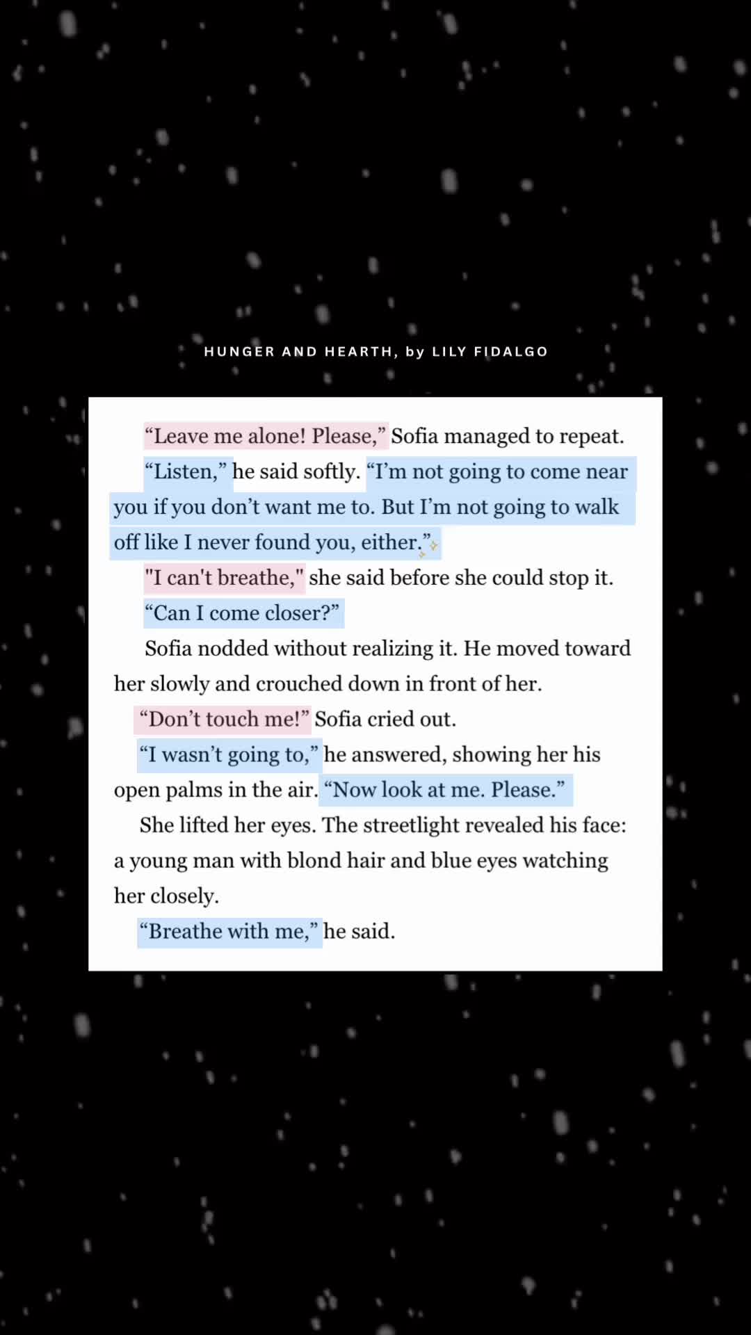 @Lily Fidalgo | Writer