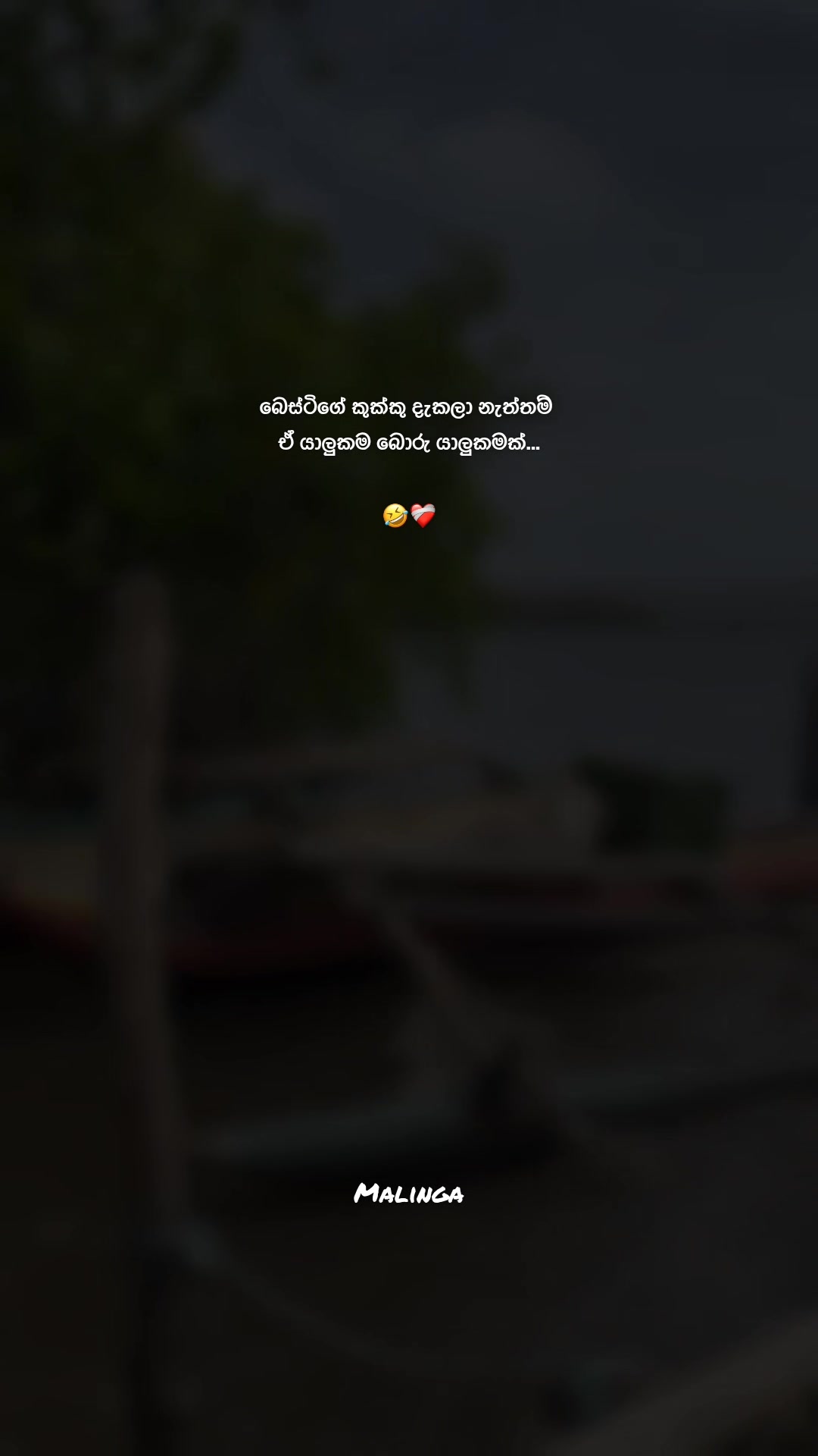 @_ceylon_page❤️🩹💐