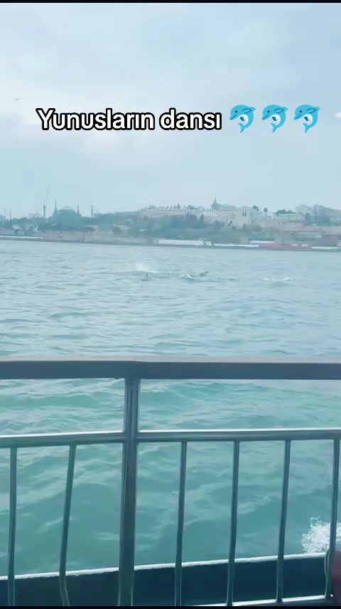 @Zeynep Nazlım