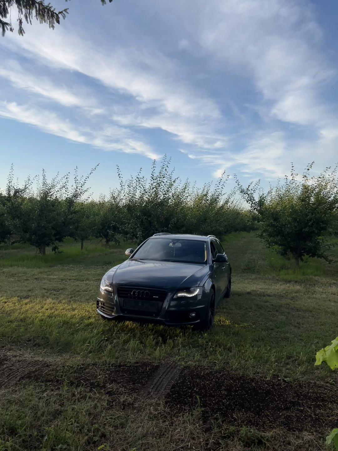 @🇲🇽