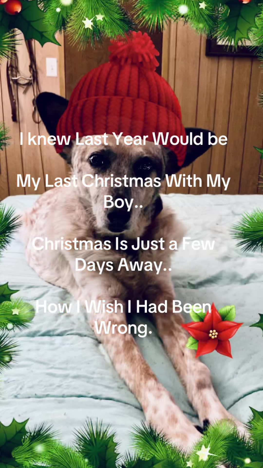 @Calicowgirl1981