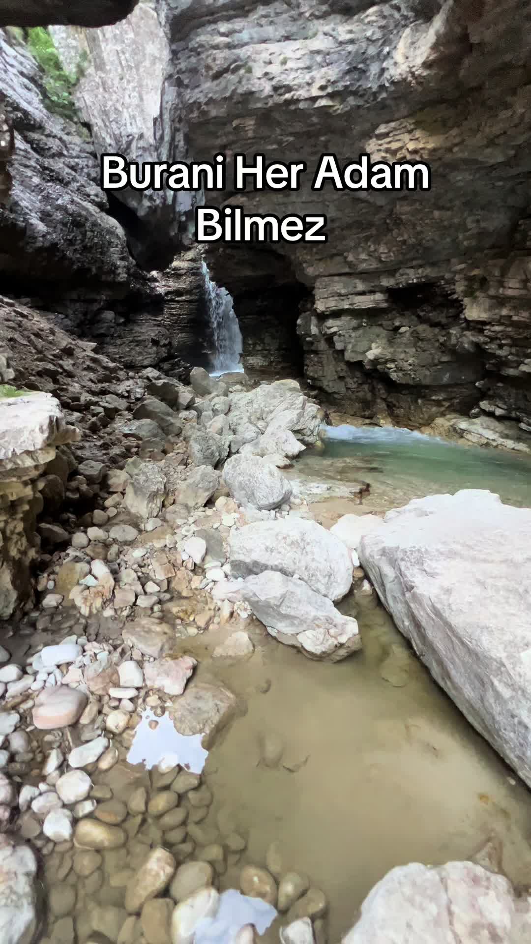 @DİMA ✅️