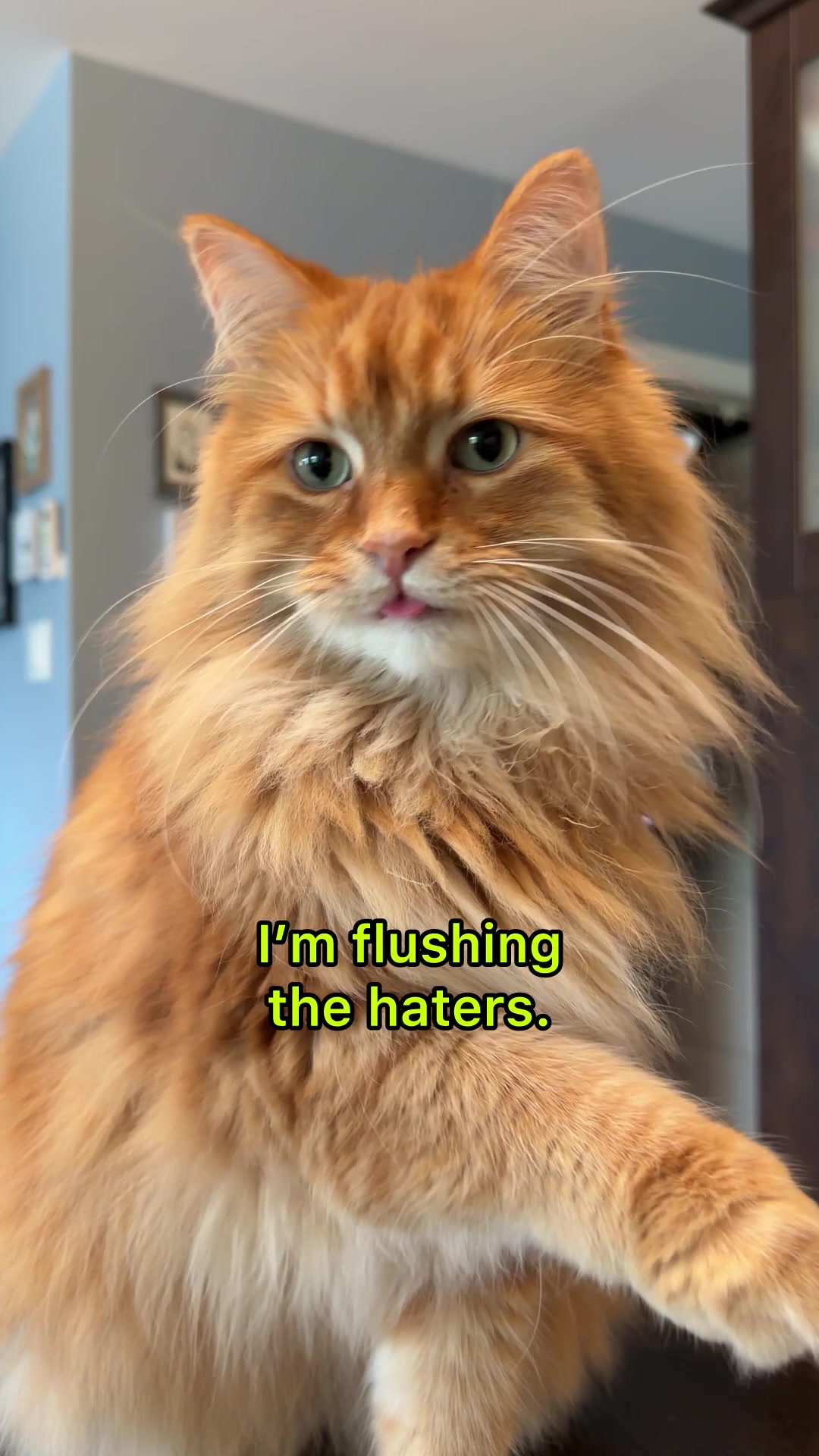 @The Oreo Cat