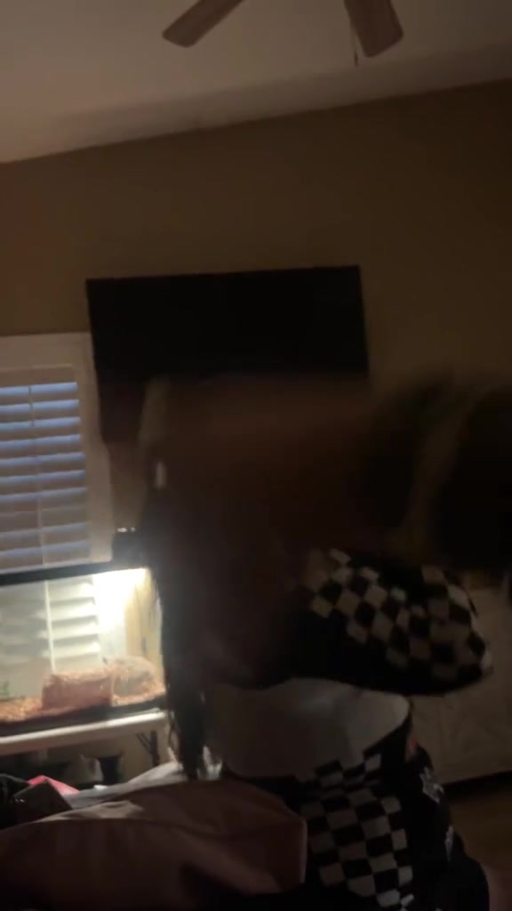 @hailo