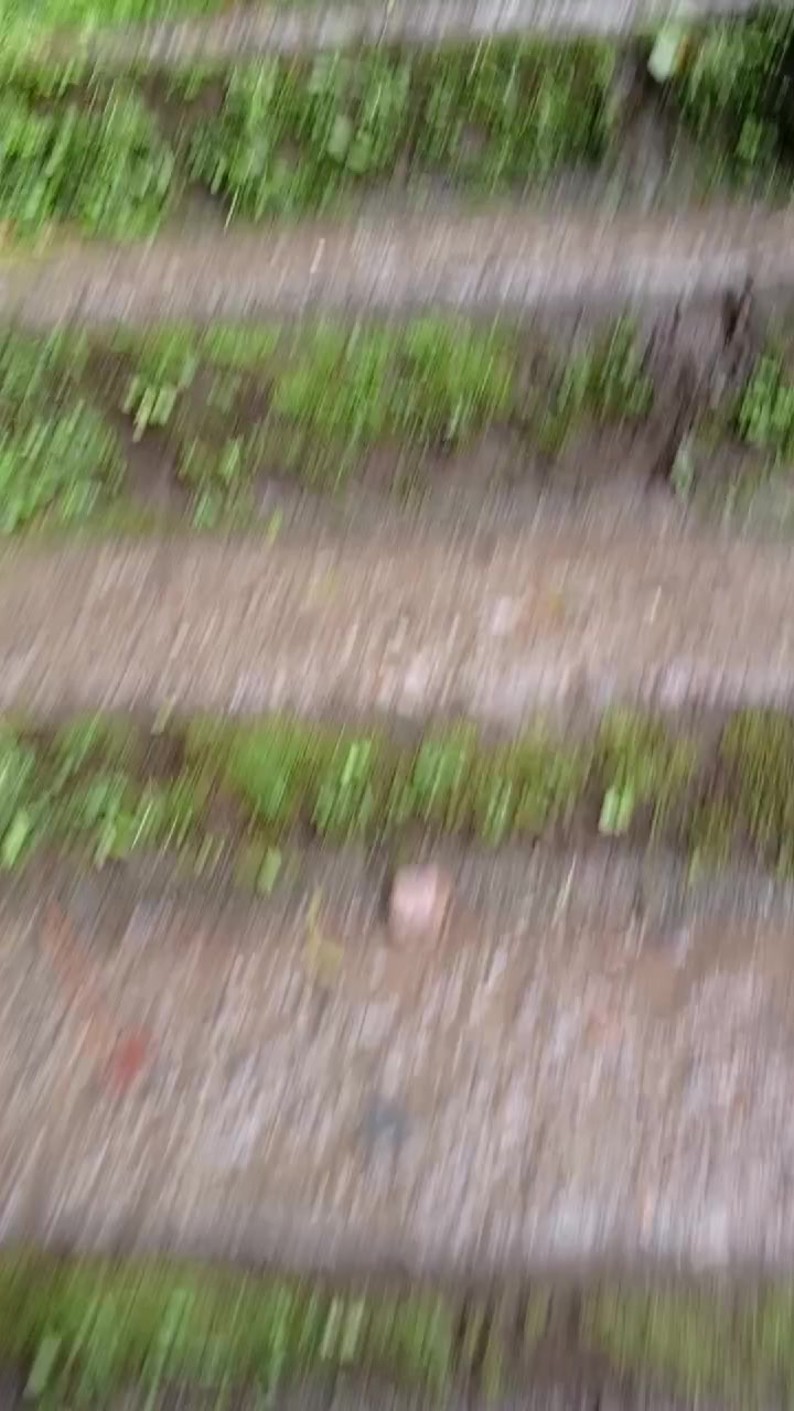 @〽️💟ᶜᴬᴹᵞ〽️💟_
