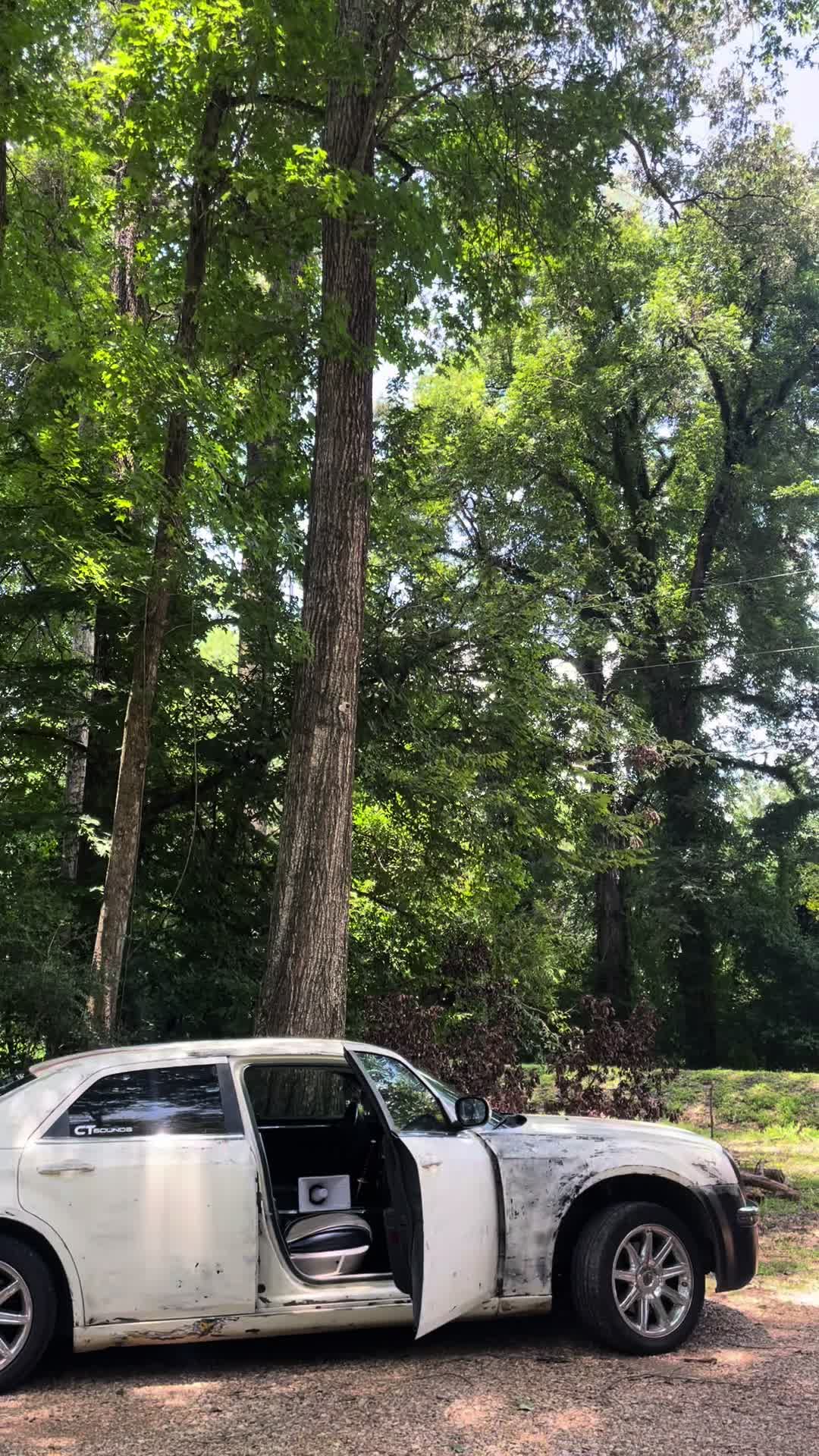 @That.one.Chrysler.300