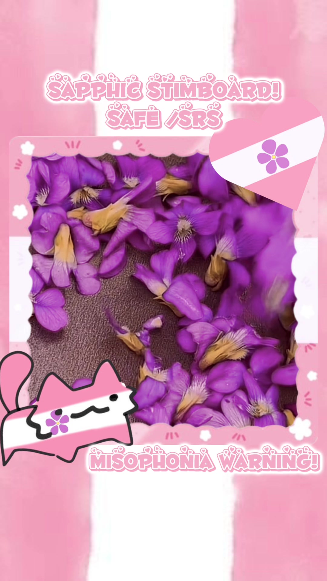 @✮𖦹⋆૮꒰𝔹𝕦𝕟𝕟𝕪꒱ა ⋆𖦹✮