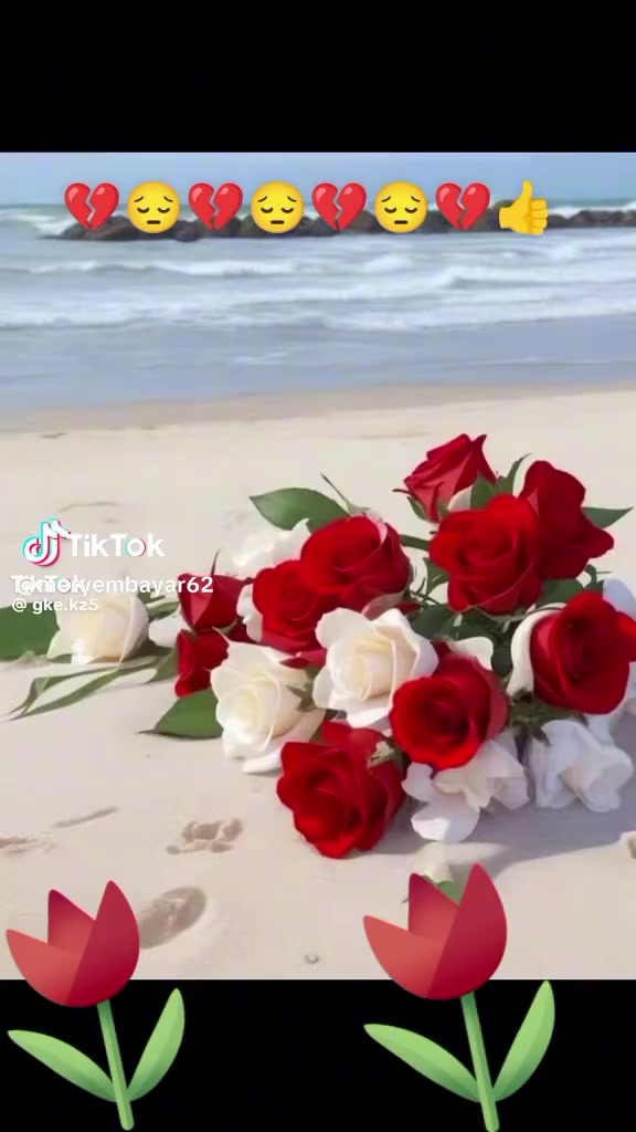 @SULTANIM
