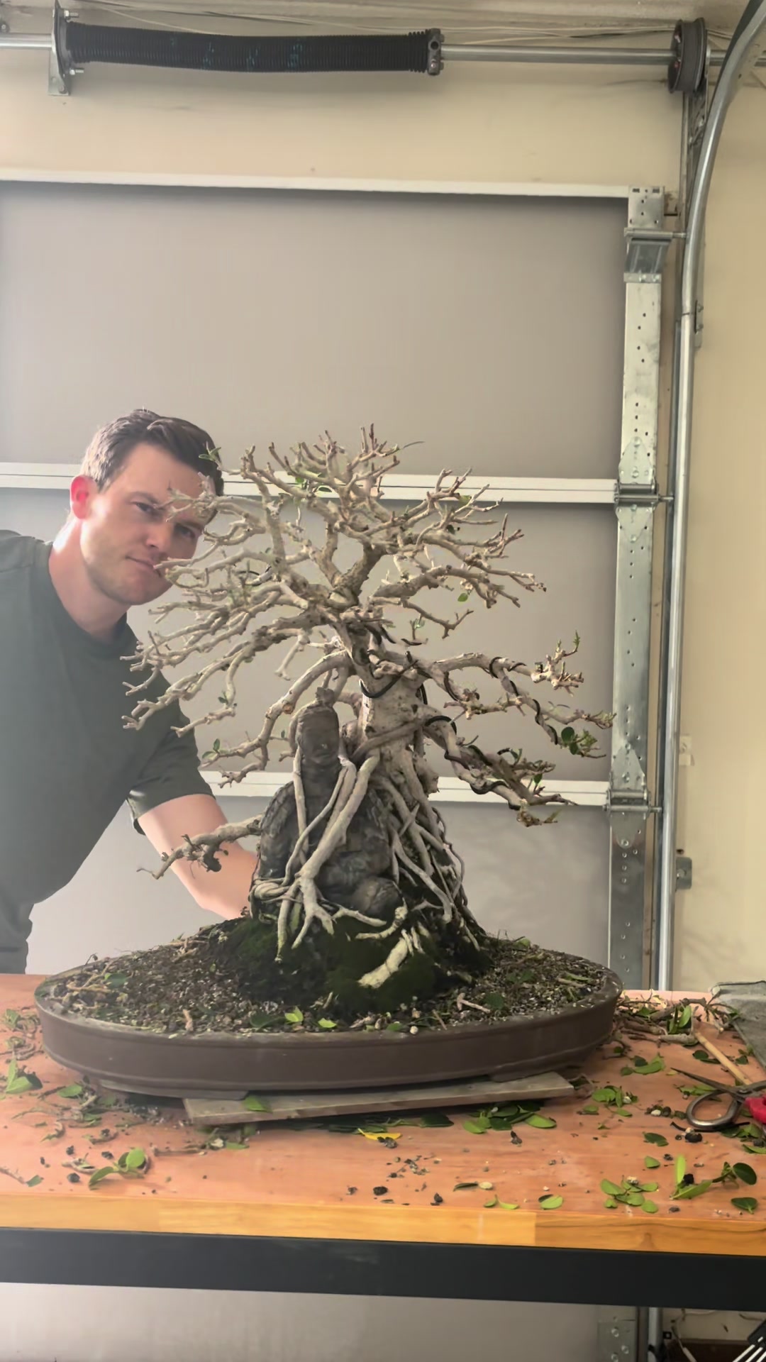 @Jerome_bonsai