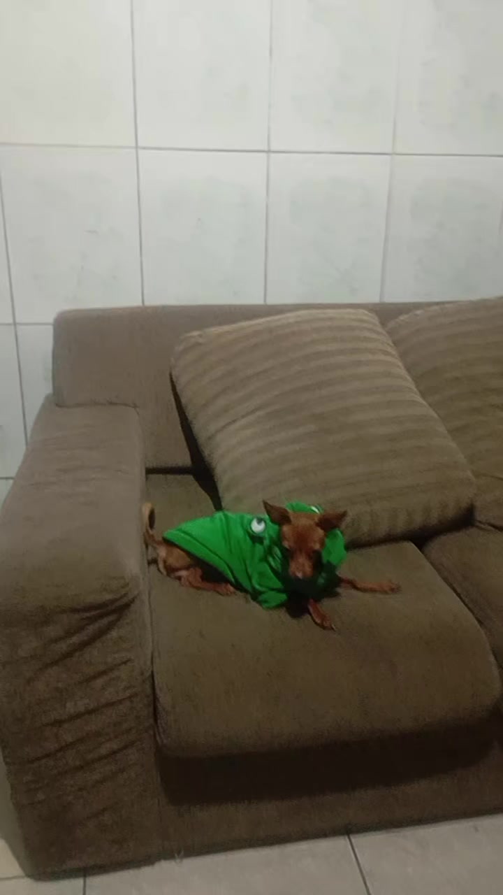 @Luiza Barros