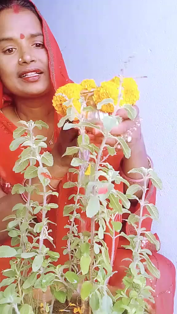 @Anita Gupta